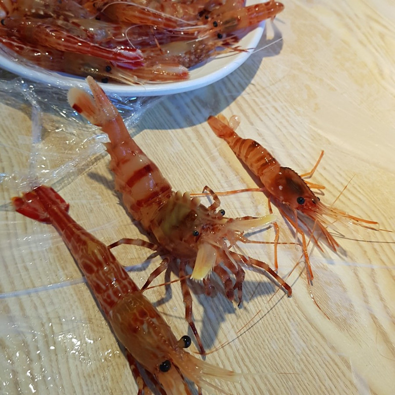 독도 새우가 가장 맛있는 시기는 언제일까? 맛 있는 꽃새우 구분 법! — 부자아빠