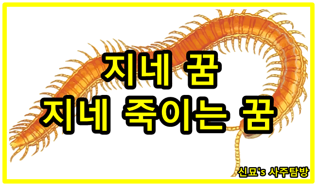 지네 꿈, 지네 죽이는 꿈 16가지