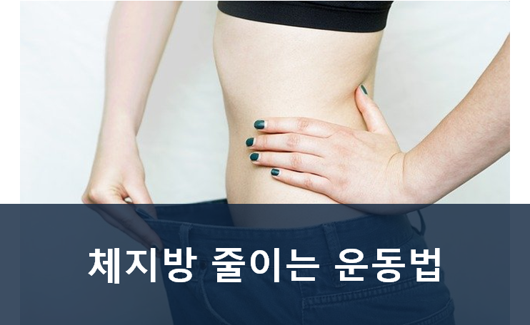 Top 45 체지방 줄이고 근육량 늘리기 Trust The Answer