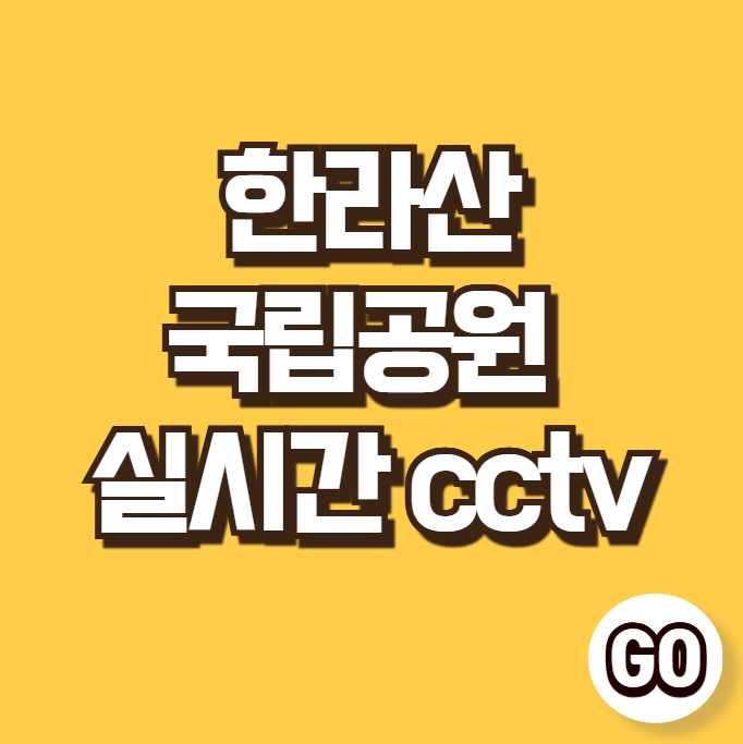 한라산 국립공원 실시간 cctv (한라산)