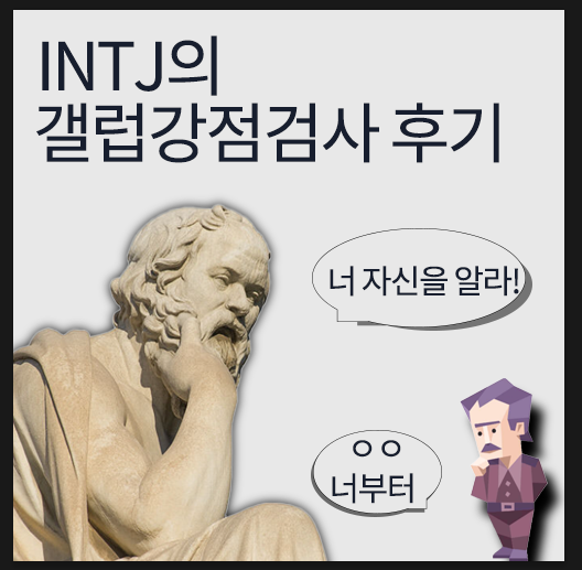 갤럽 강점검사 후기 - 성격 테스트의 끝판왕 (Feat.INTJ)