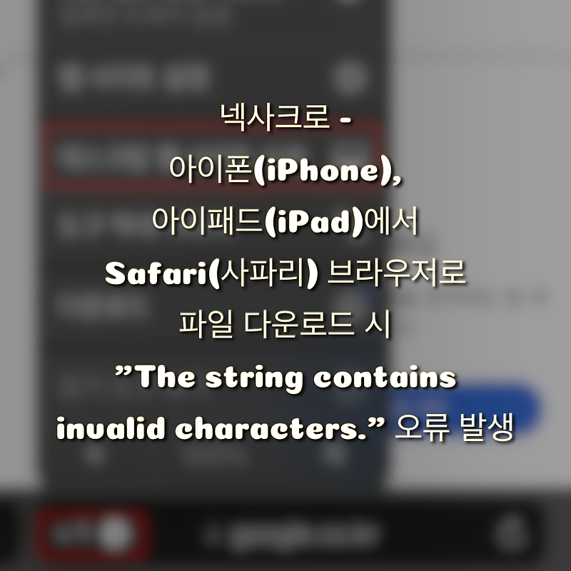 iphone-ipad-safari-the-string-contains-invalid