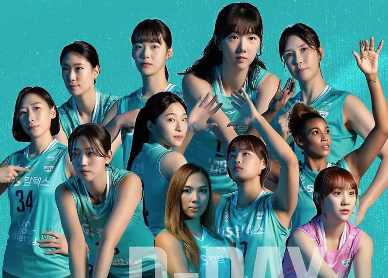 GS칼텍스 배구단 경기 일정 예매 장충체육관 총정리