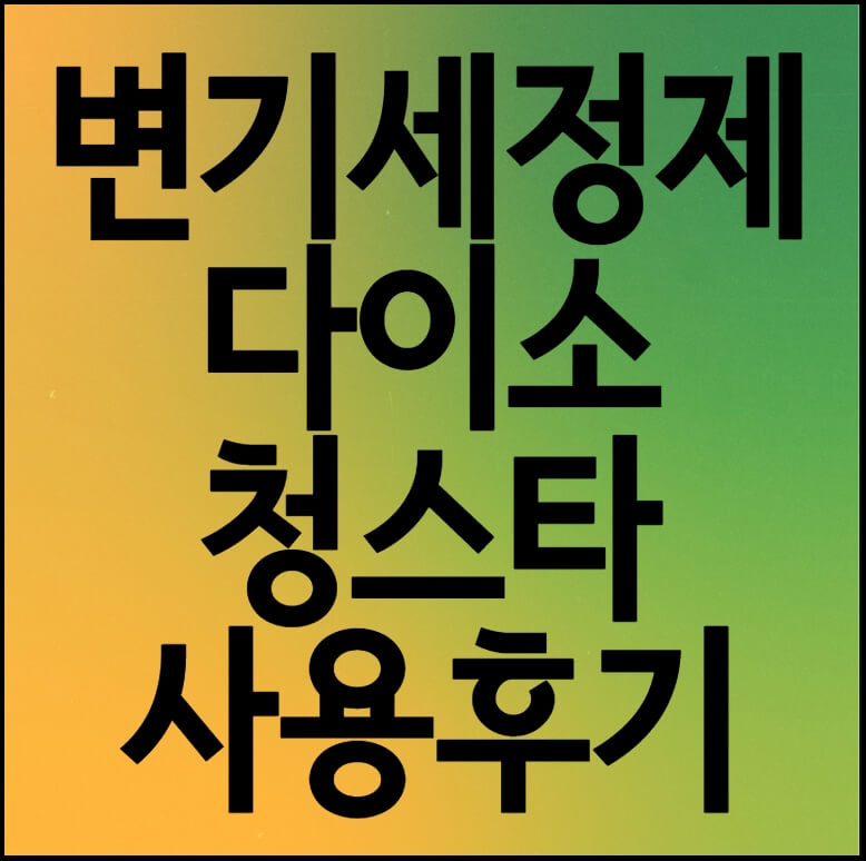 변기세정제 - 다이소 청스타 사용 후기