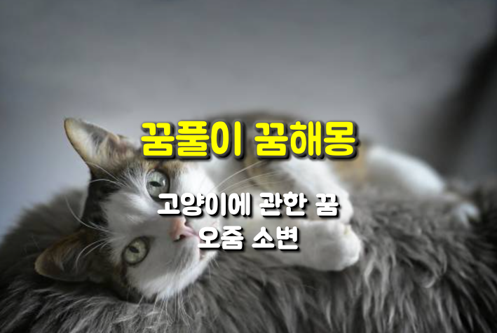 꿈해몽 고양이에 관한 꿈 (오줌)