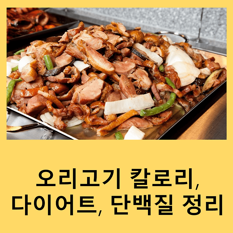 오리고기 칼로리, 다이어트, 단백질 정리