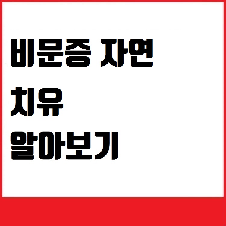 비문증 자연 치유