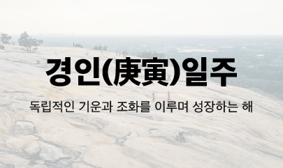 [사주] 2025년 을사년 경인일주의 운세 / 경인일주 신년운세와 조언