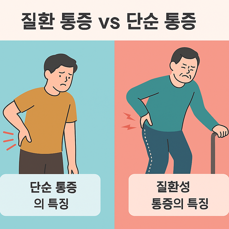 질환 통증 vs 단순 통증(근육통), 허리 통증도 구분 필요 (2025년 4월)