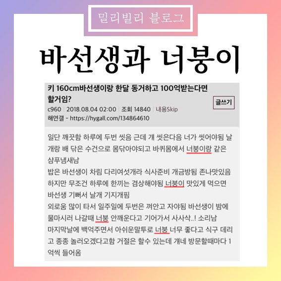 바선생 뜻 너붕이 뜻 나붕이 뜻 해연갤이란? 해연갤 뜻 :: 밀리빌리