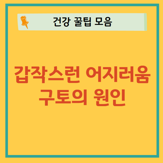 갑작스런 어지러움과 구토 원인