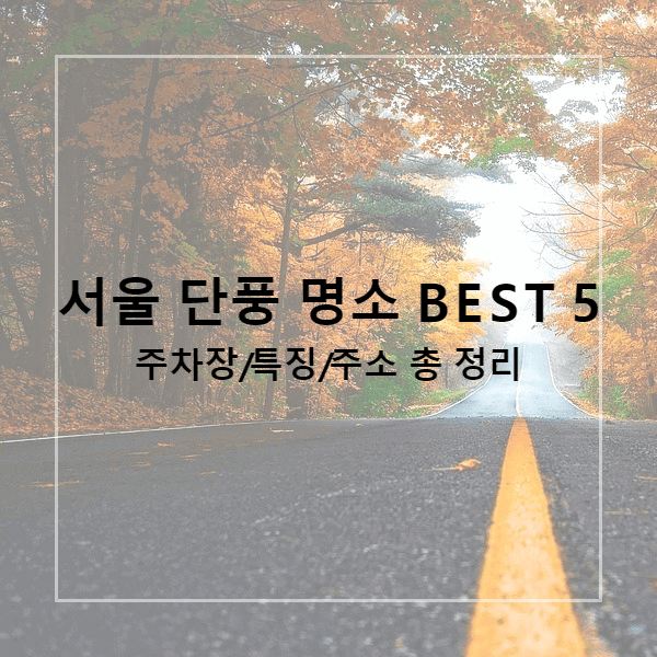 서울 단풍 명소 장소 코스 Best 5 주소 특징 주차장까지 총 정리