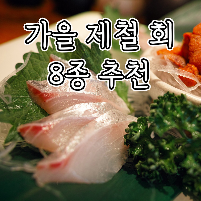 지금 가장 맛있는 10~11월 가을 제철 회 추천