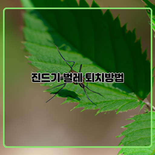 효과적인 진드기 벌레 퇴치 방법 공개!