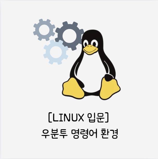  linux apt vim 