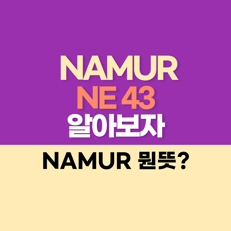NAMUR NE 43 에 대해서 알아봅시다.