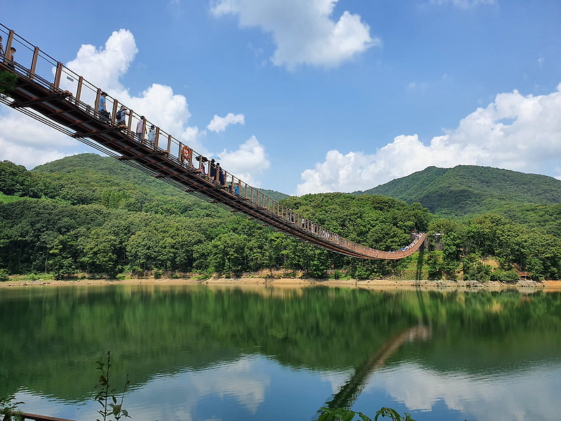 파주 마장호수 - 국내 최장길이의 출렁다리 명소