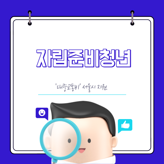 자립준비청년 대중교통비 서울시 지원