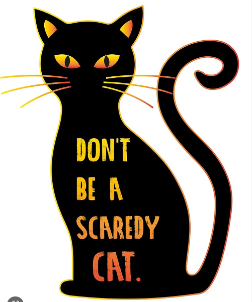 오늘의 영어표현(1920) a scaredy cat