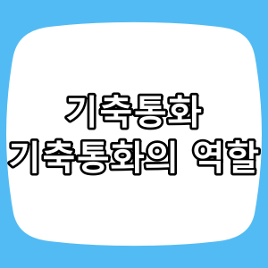 현재의 주요 기축 통화와 기축 통화의 역할