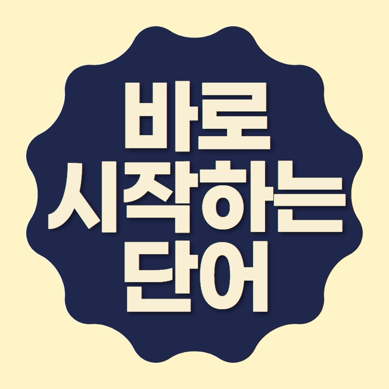 바로 시작하는 한방 단어