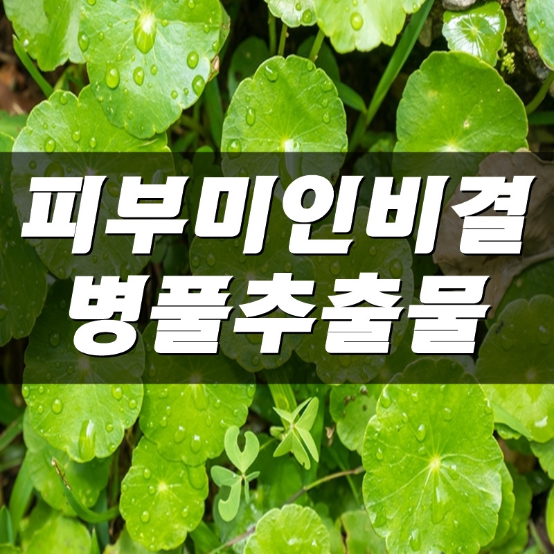 병풀추출물 효능