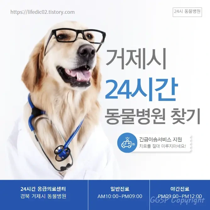 거제시 24시간 동물병원 찾기 근처 야간 일요일 강아지 병원 13곳