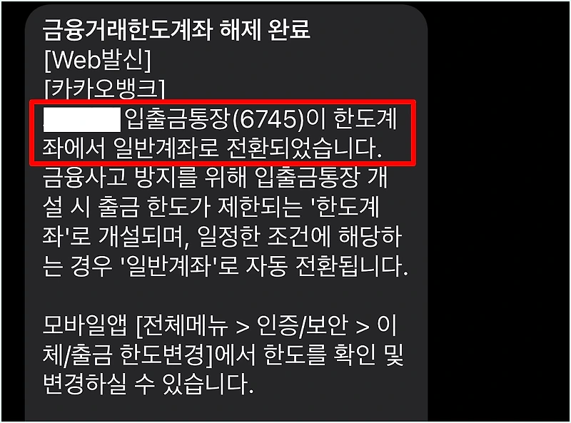 카카오뱅크 한도계좌 해제 방법 정리 - 소나기