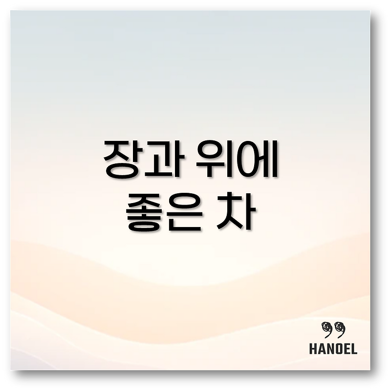 장과 위에 좋은 차 보리차부터 허브차까지 총정리 깔끔 정리