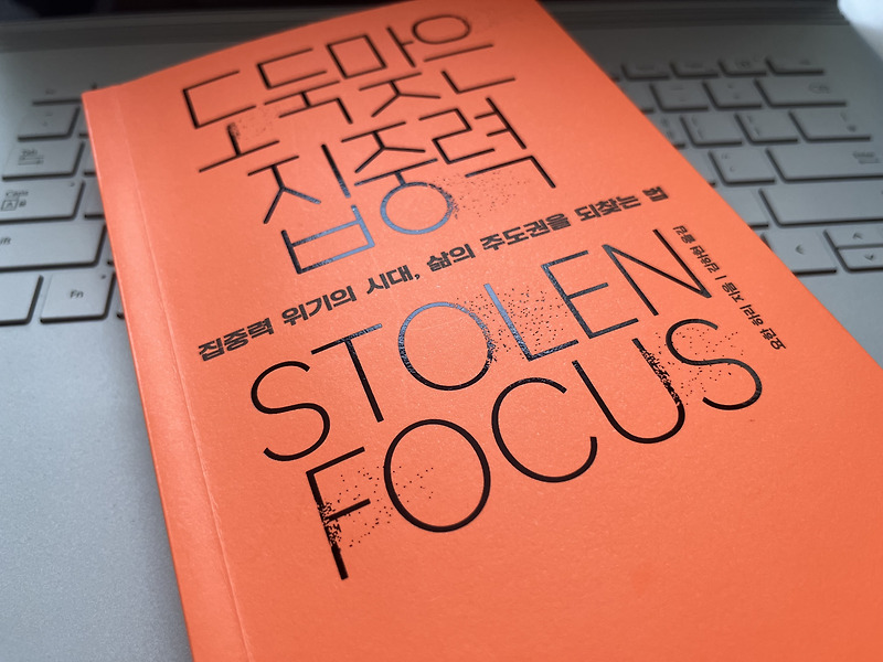 도둑맞은 집중력(Stolen Focus)
