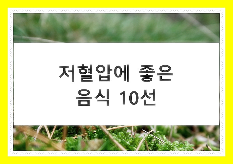 저혈압에 좋은 음식 BEST 10가지 - 건강몬스터