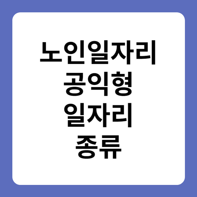 노인일자리 공익형 일자리 종류