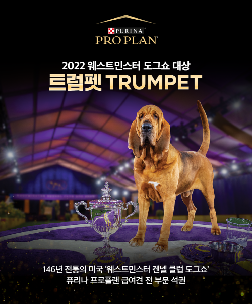 Westminster Kennel Club Dog Show Names 2023 Best in Show Judge