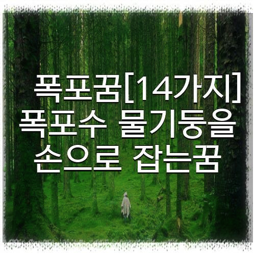 폭포꿈[14가지] 폭포수 물기둥을 손으로 잡는꿈