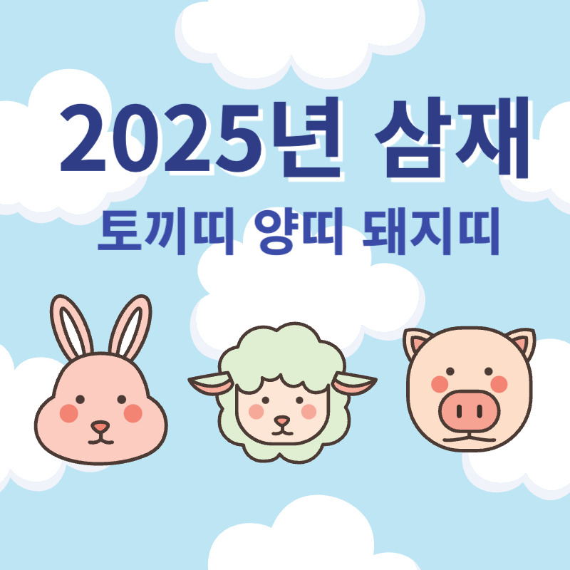 2025년 삼재(토끼띠, 양띠, 돼지띠)