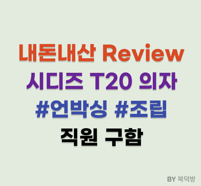 내돈내산) 시디즈 T20 탭플러스 메쉬 의자 리뷰