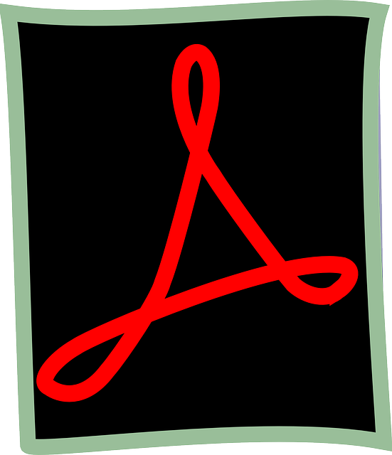 Pdf 