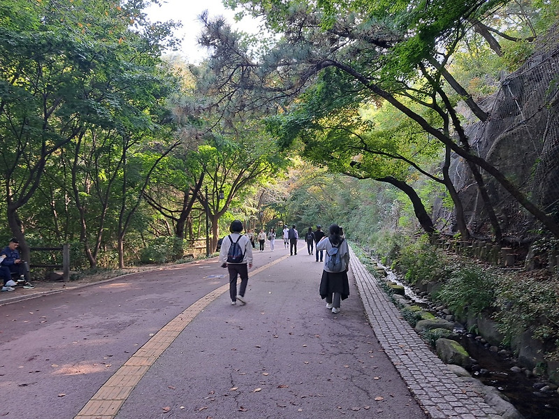 [기린의 걷다보면] 남산을 걷다