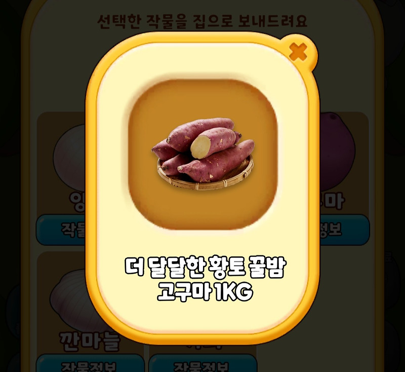 공구마켓 공팜 고구마 2 (진행중)
