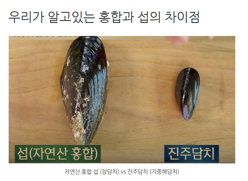 섭 홍합 차이와 홍합철, 연말에 이거 모르면 손해! 색다른 홍합요리 10가지