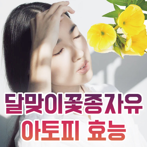달맞이꽃종자유 효능/부작용 비교분석