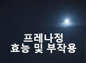 프레나정 효능 및 부작용 [간단정리]