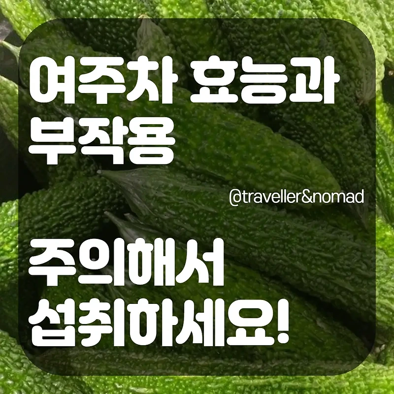 여주차 효능과 부작용, 주의해서 섭취하세요