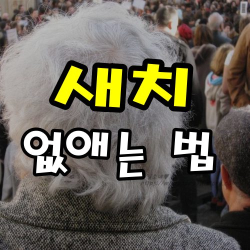 새치 없애는 법 원인 이런 방법이?