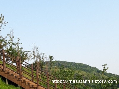 <b>망종</b> 한자 <b>뜻</b> 음식 알아봐요