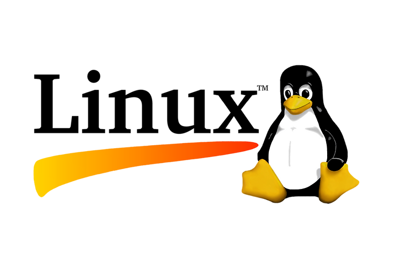 [Linux] 환경변수 확인 및 설정 방법