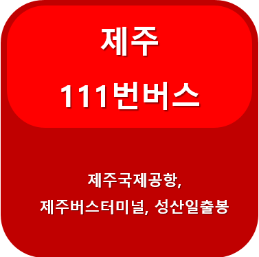 제주 111번 버스 노선 정보, 제주공항 ↔ 성산항