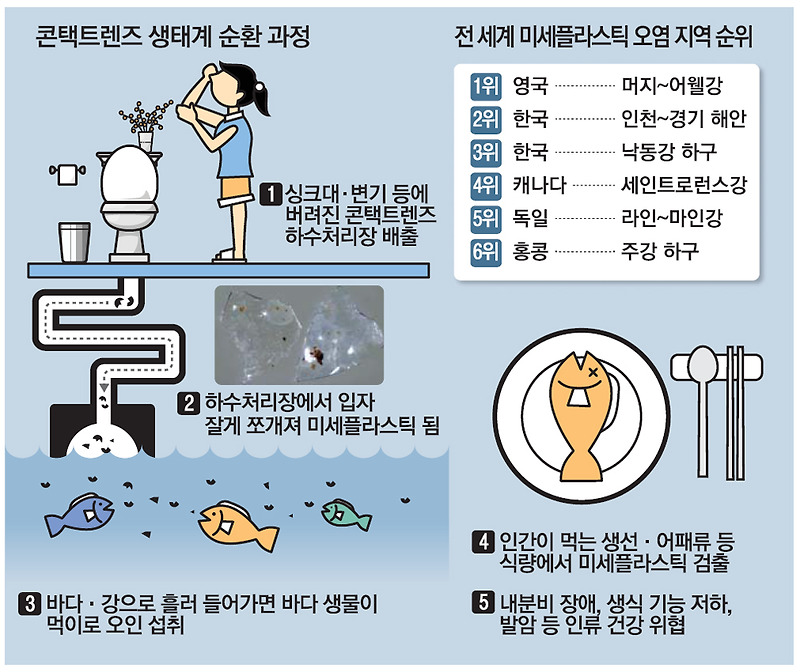 콘택트렌즈가 환경에 미치는 영향
