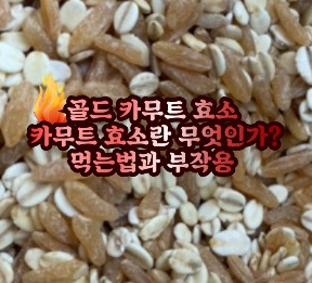 골드카무트 효소 효능 부작용 마시는 법