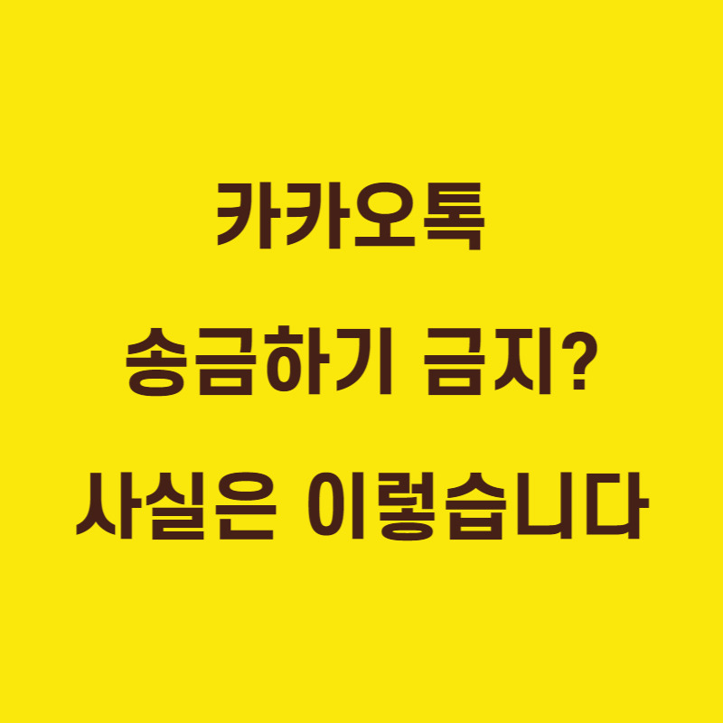 카카오톡 송금하기 금지 논란 송금방법 진실은?